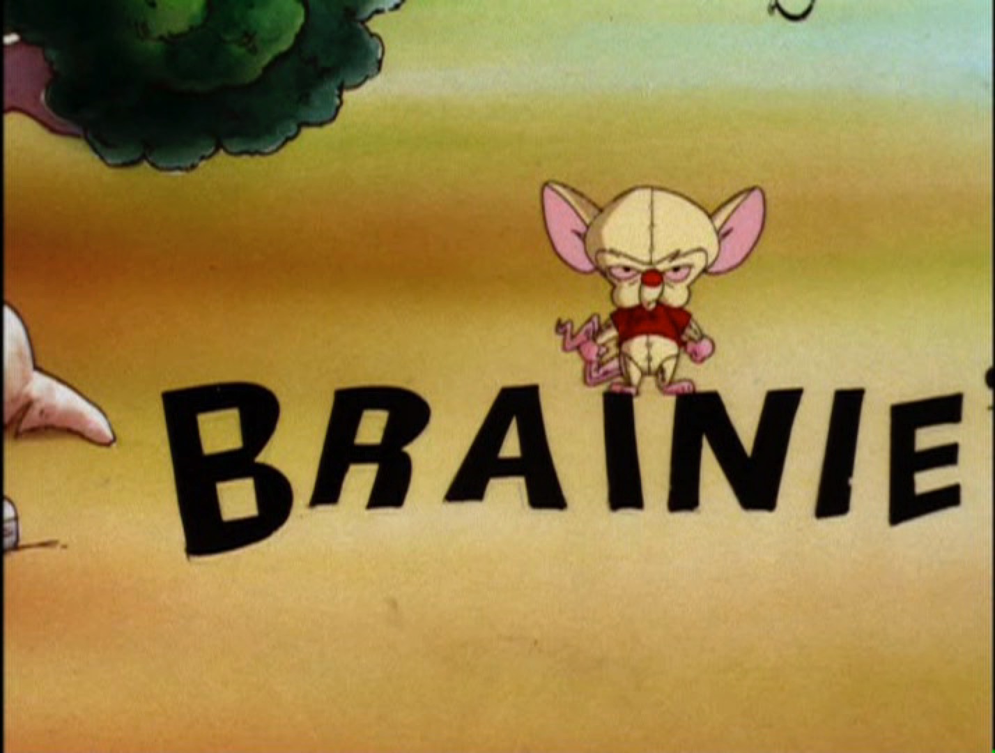 Brainie the Poo