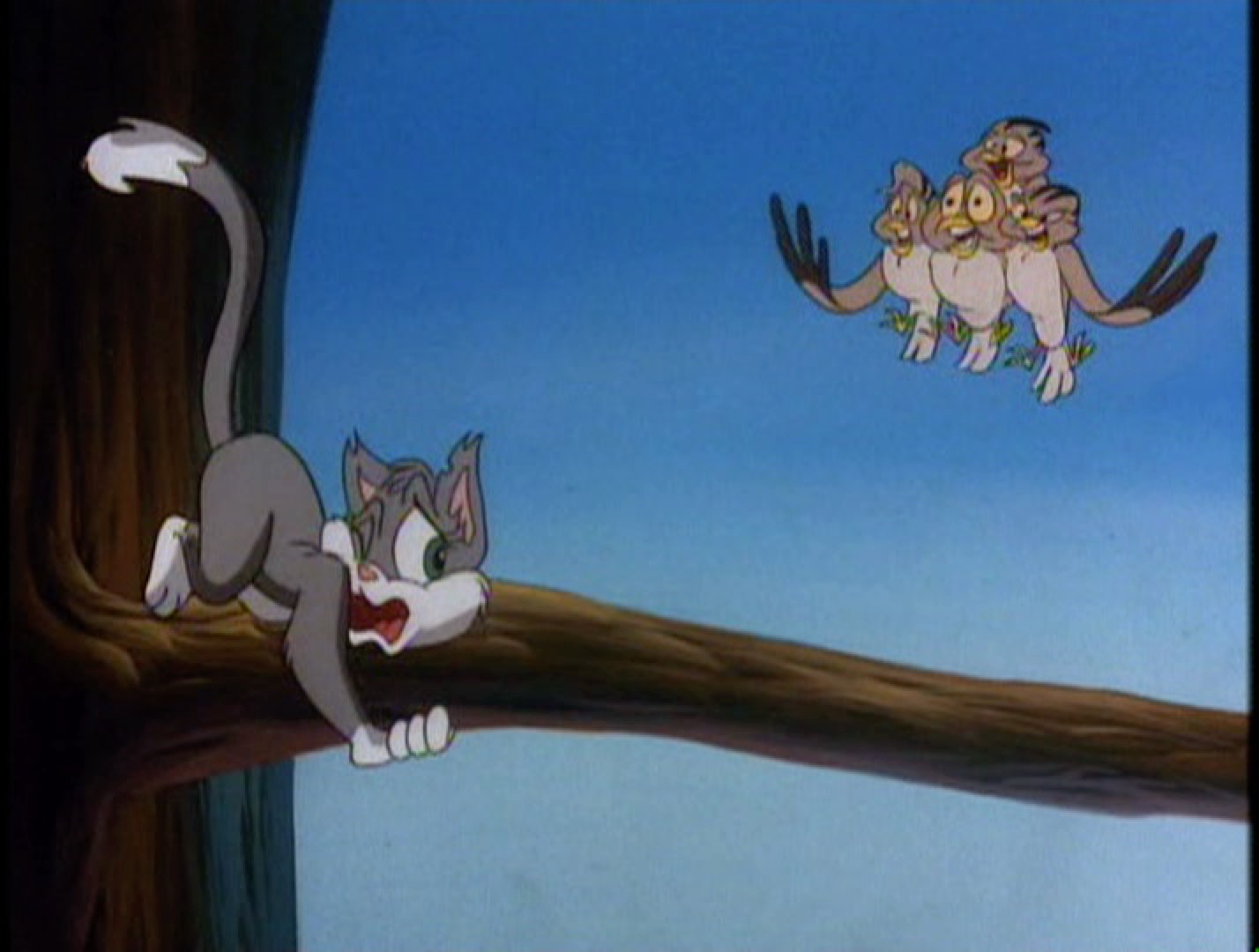 Fraidy Cat